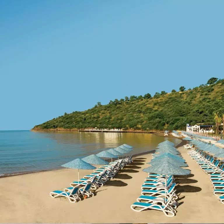 ساحل PALOMA PASHA