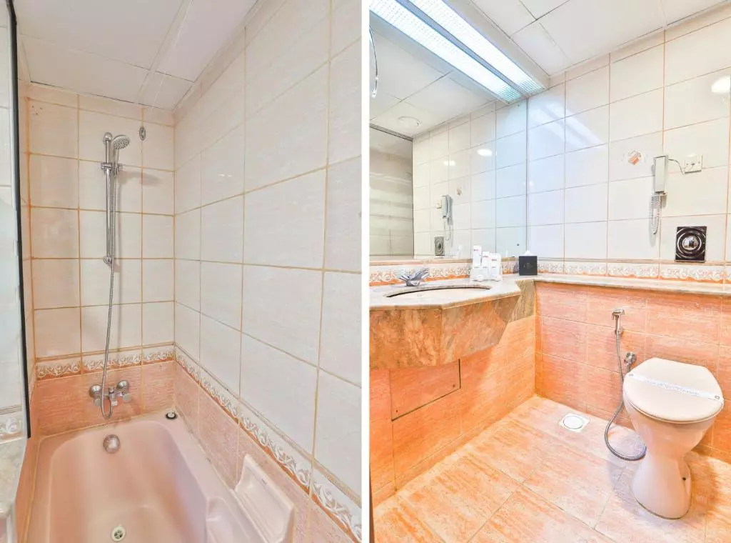 سرویس بهداشتی Capital O 246 Landmark Summit Hotel