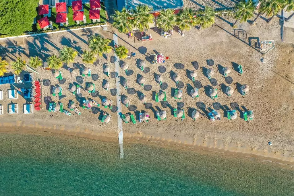 ساحل VERY CHIC adult only