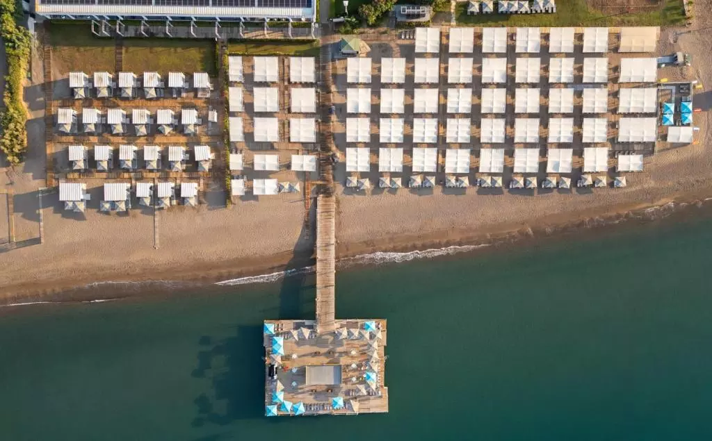 ساحل NIRVANA COSMOPOLITAN